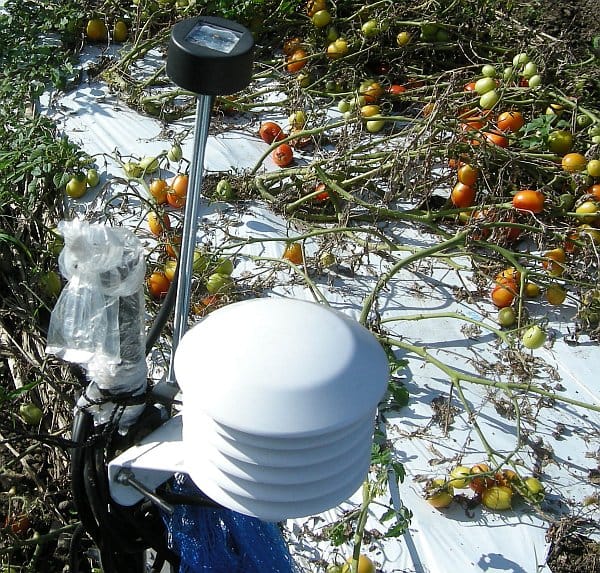 センサーノード